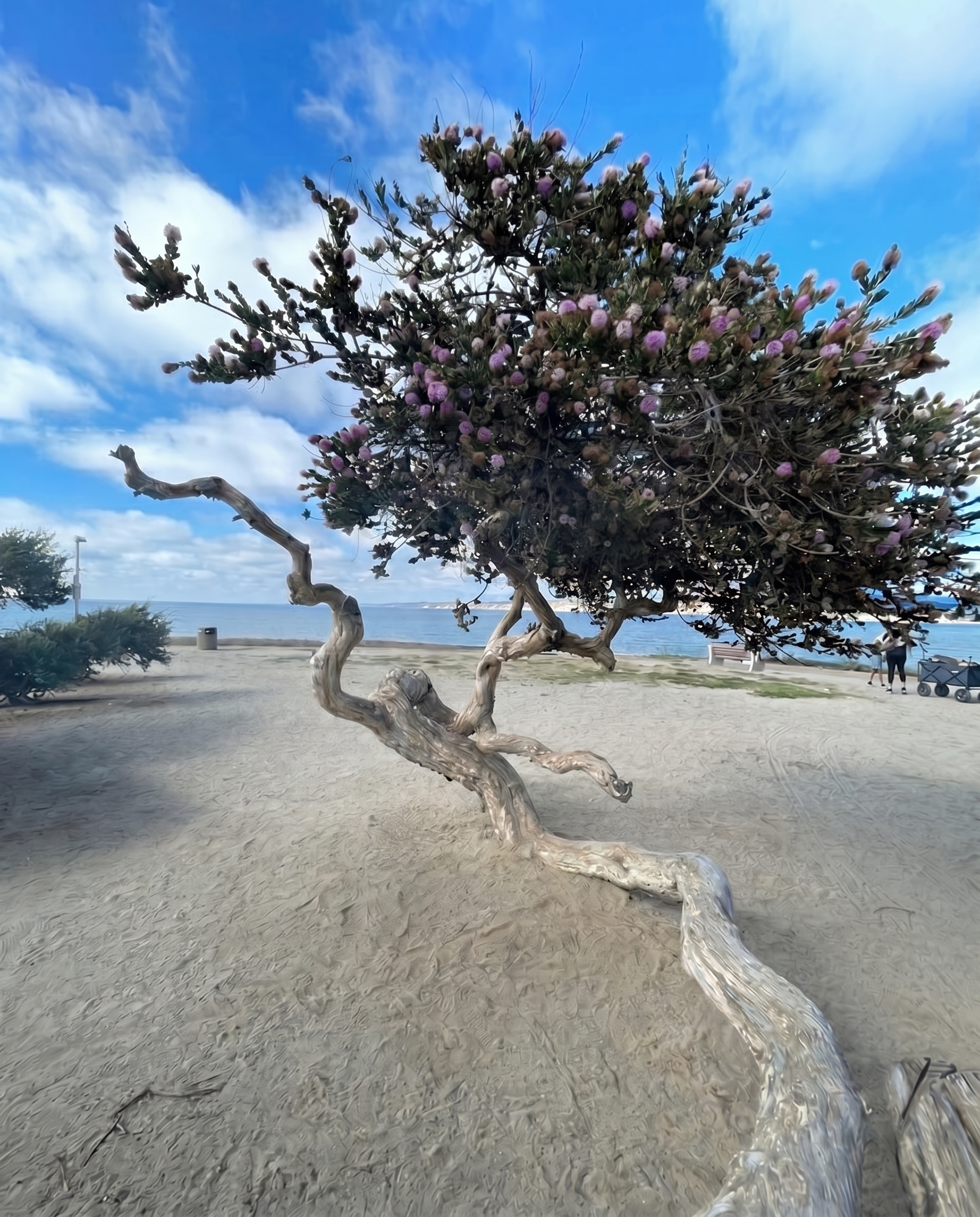 Meet-Zoe-owner-of-New-Era-Mindfulness